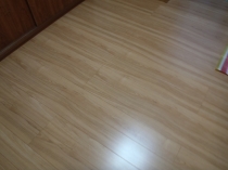 清瀬市　Ｍ様ペットフロア工事